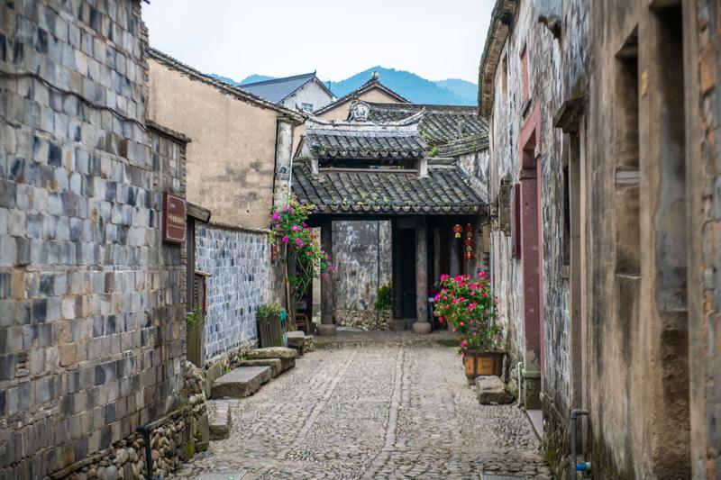 道奇蝰蛇找不同